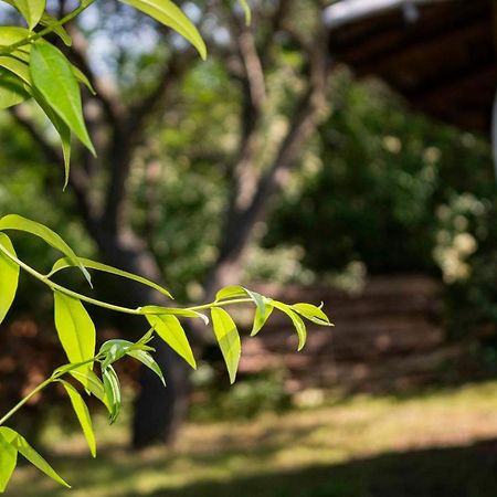 Clay House Banya Βίλα Banya  Εξωτερικό φωτογραφία