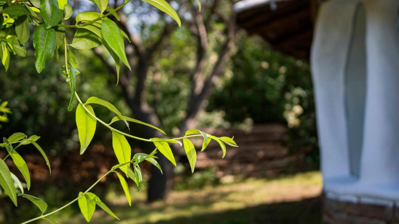 Clay House Banya Βίλα Banya  Εξωτερικό φωτογραφία